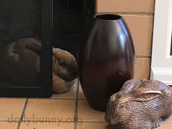 Bunny Makes a Better Loaf Than Her Decorative Pal