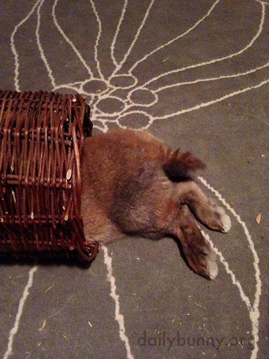 Bunny Relaxes in a Wicker Tube 2