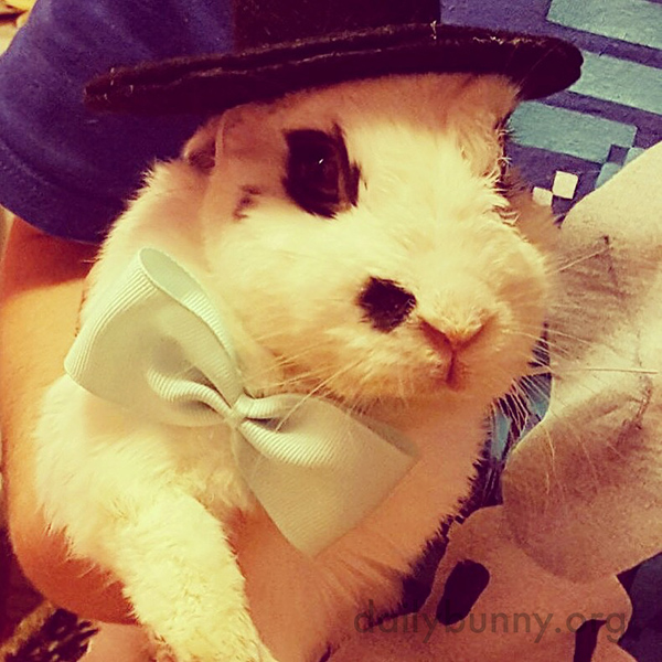 Bunny, You Look So Dapper in That Hat!