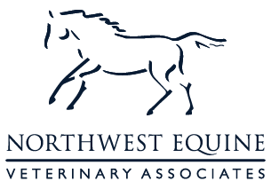 Northwest Equine Veterinary