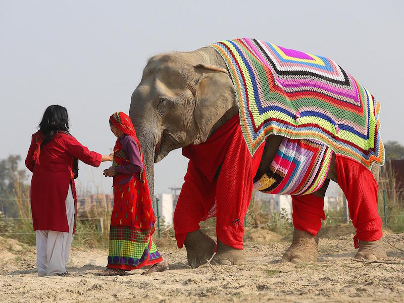 knits-elephants