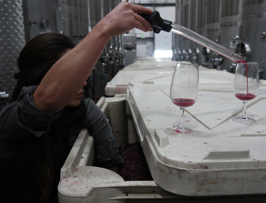 Zotovich pulls a sample of fermenting grenache that will soon be bottled as the 2014 Dreamcôte Wine Co. rose