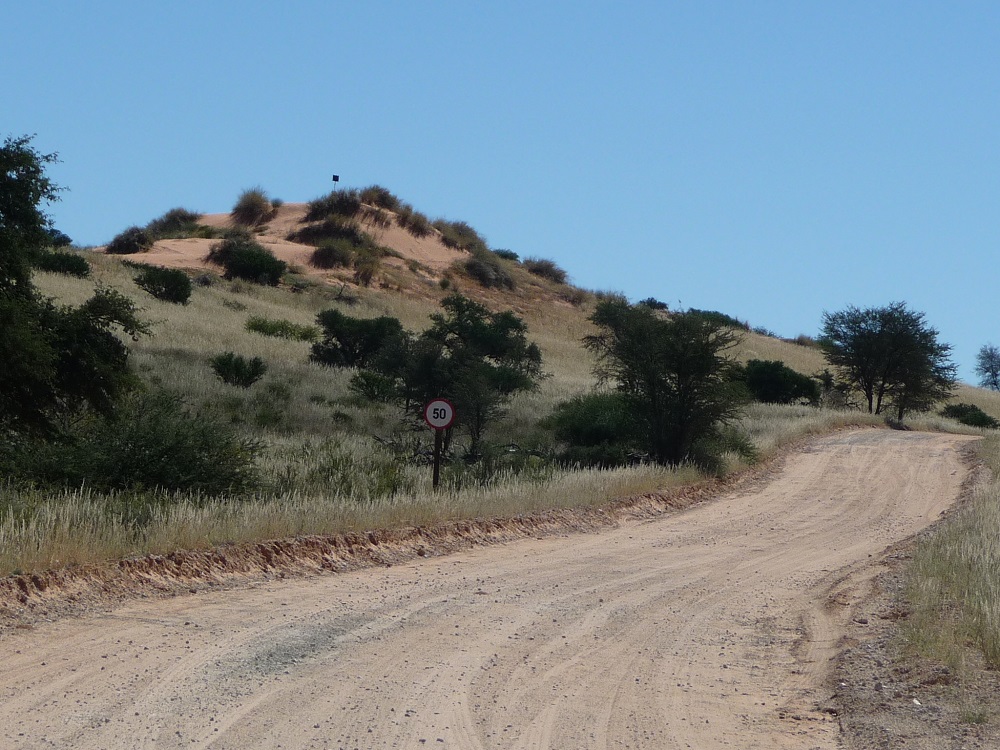 What you need to know about Kgalagadi Transfrontier Park