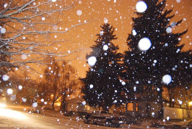snow-640x480.jpg