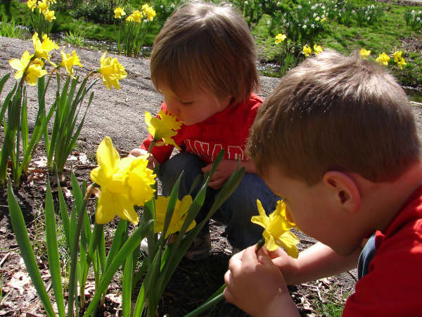 boys-smelling-flowers-2-spring-2008.jpg