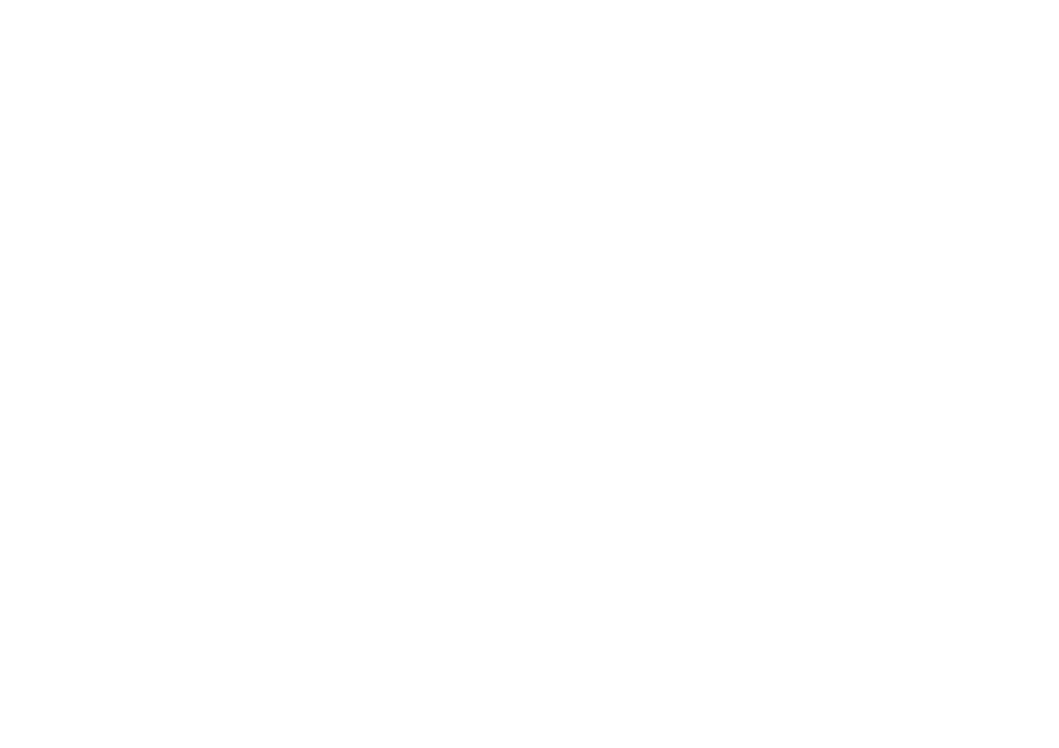 Chasing Time English