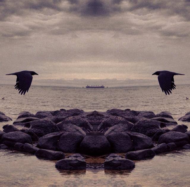 Crow Medicine artwork by Sacred Familiar