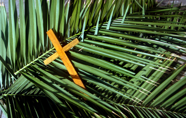 Cross palms