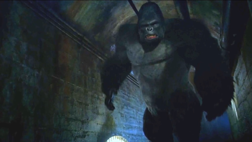 Grodd shows off his full height.