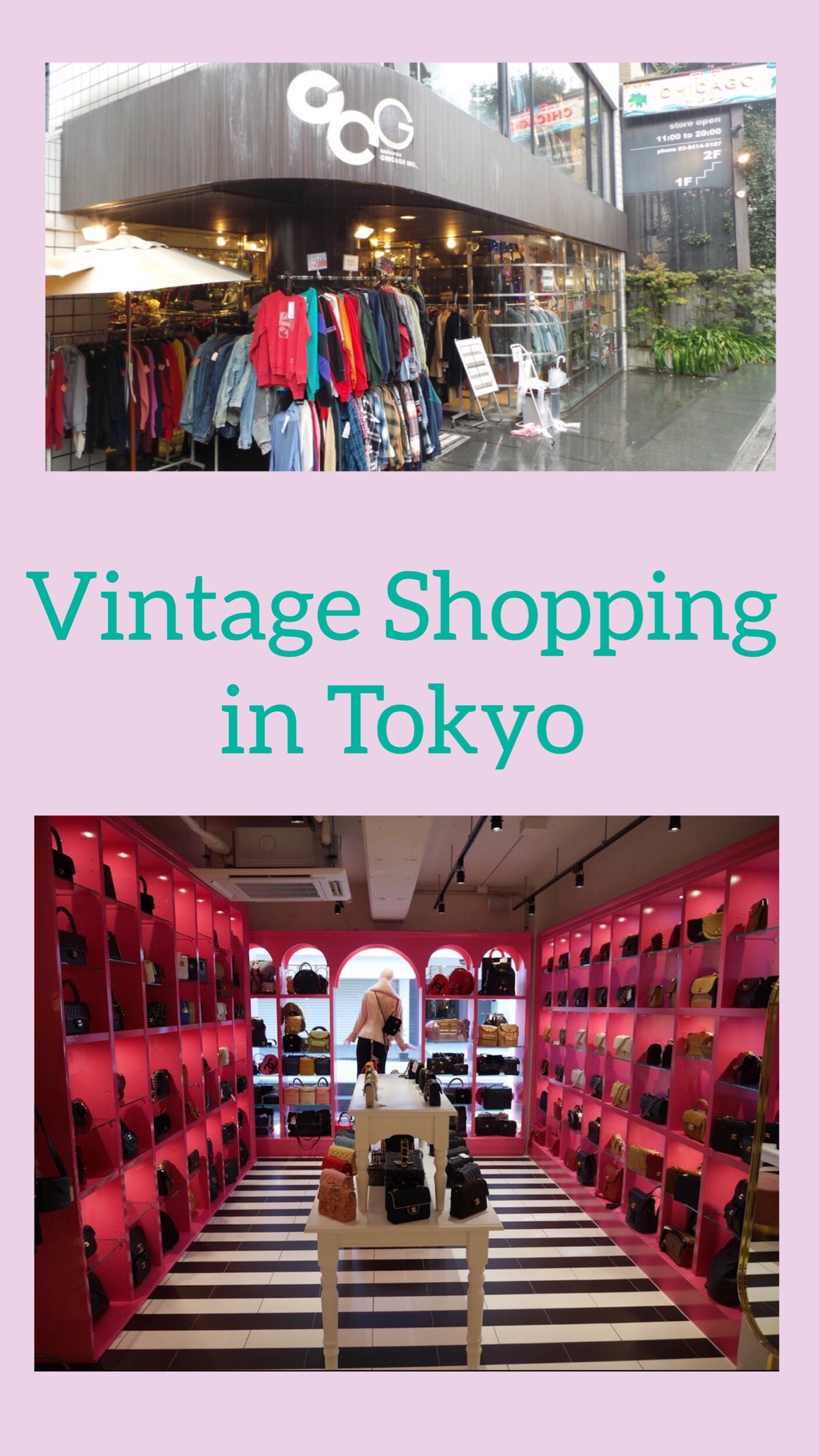 Inside Komehyo Shinjuku: Everything You Need to Know About Japan's Second- Hand Shop!