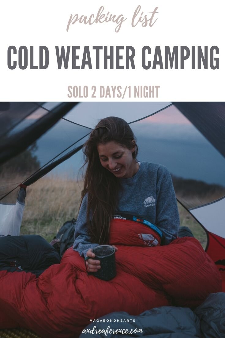 Portable Polar Fleece Sleeping Bag Camping Tent Bed Warm Liner Anti-dirty LT 