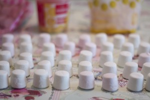 Marshmallows lined up pink and white