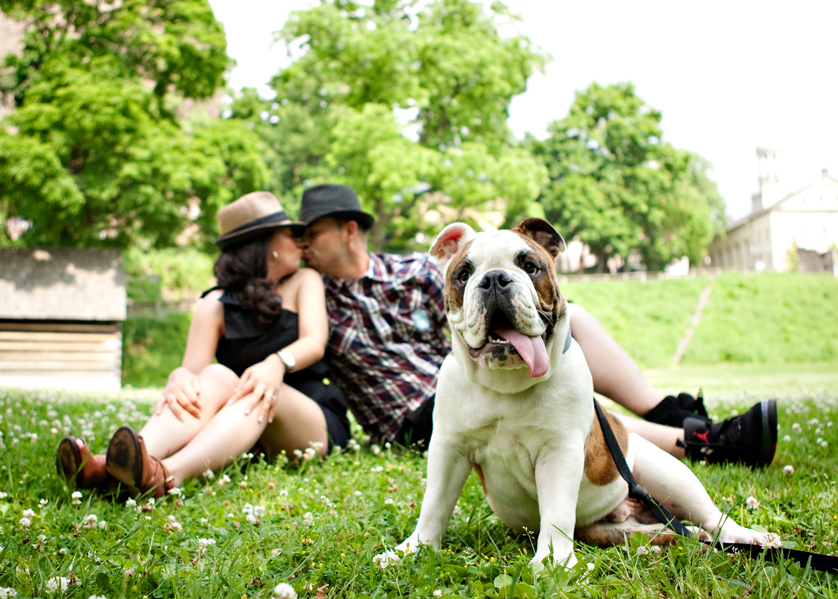 Engagement photo in park with bulldog in front
