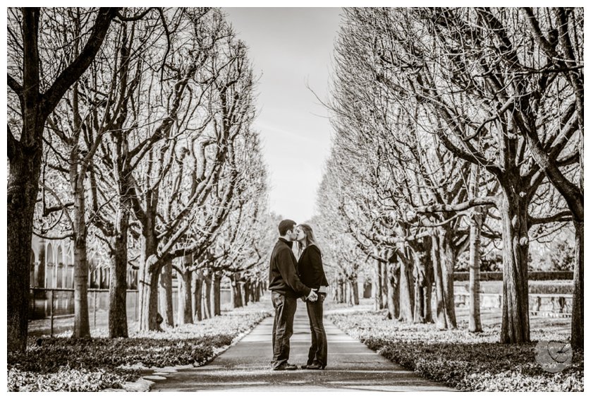 Black and white engagement portrait of couple between rows of trees near Philadelphia, PA