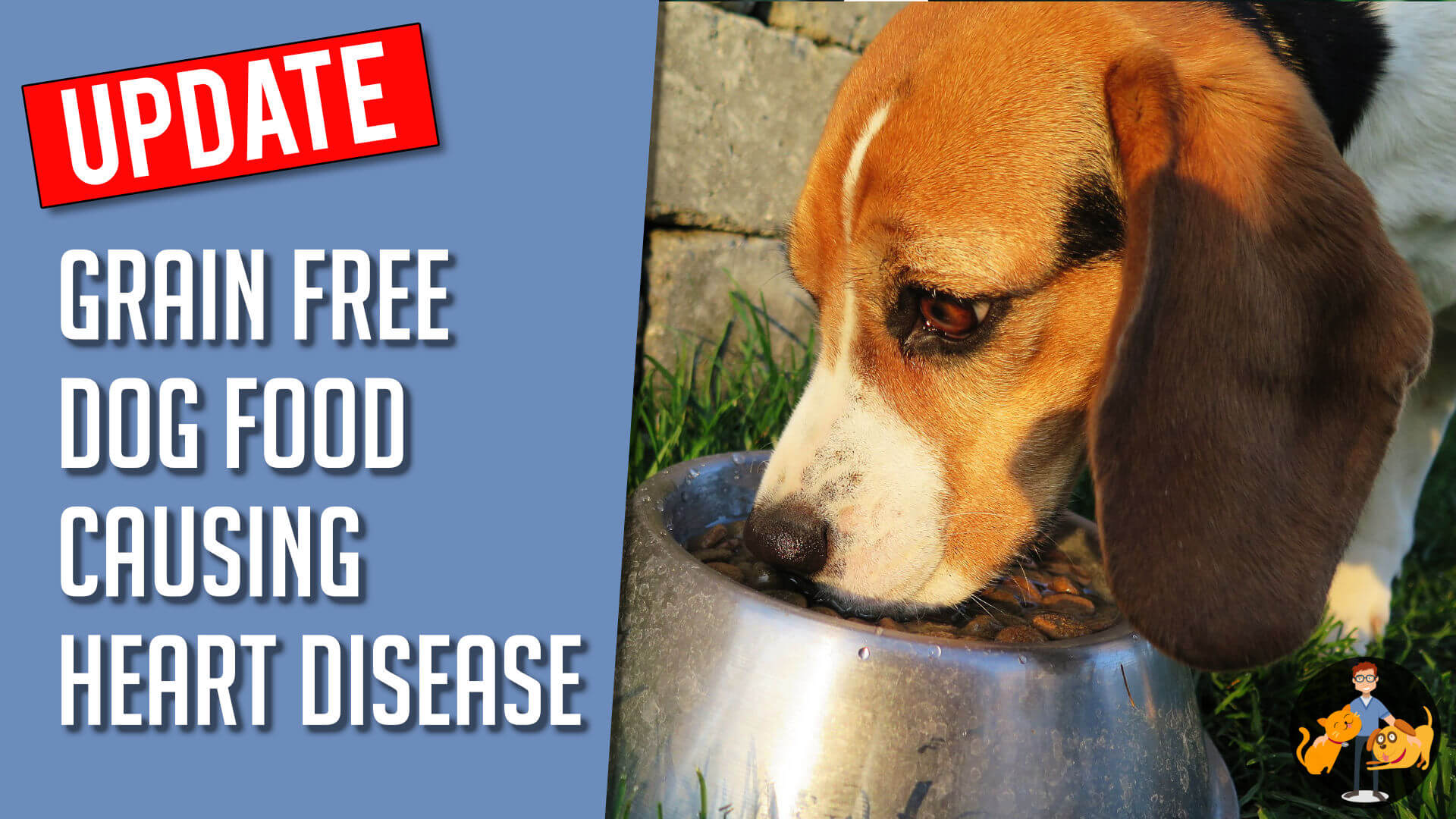 enlarged heart grain free dog food