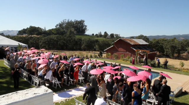 sonoma napa california wine vineyard Wedding Video Pic 01