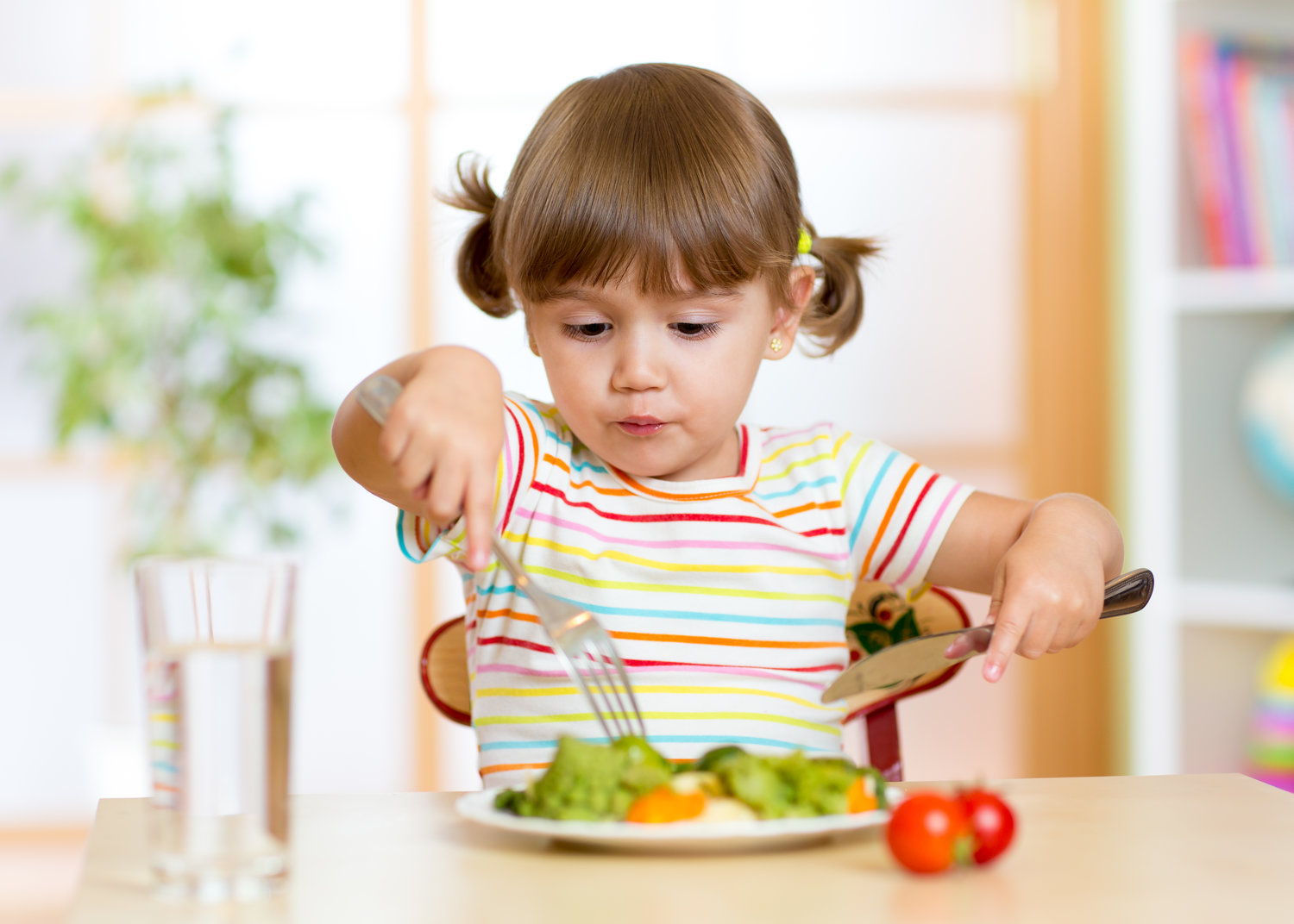 Feeding Schedule for Toddler - Nutrition Guide — Megan Boitano Nutrition