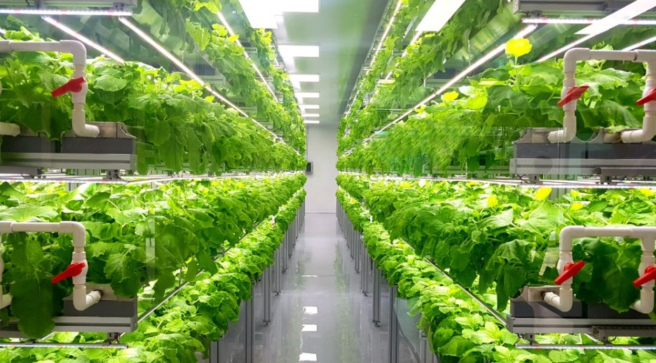 The Competitive Economics Of Vertical And Greenhouse Farming Agritecture