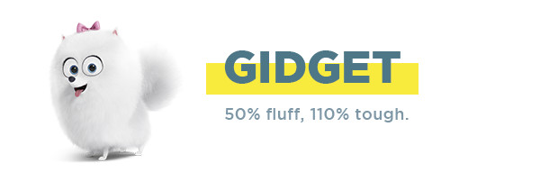 gidget-the-dog