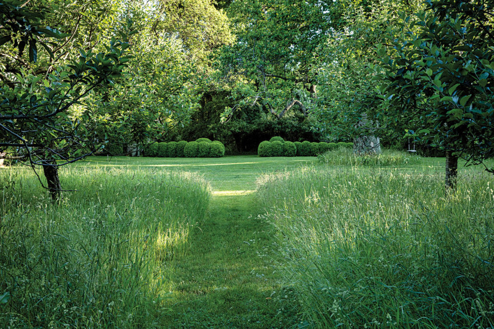 The Untamable Garden | Anna Wintour Garden