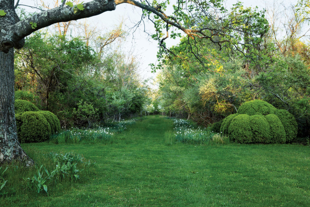 The Untamable Garden | Anna Wintour Garden