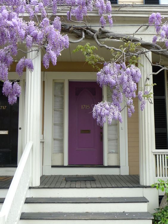 Purple House :: House of Valentina