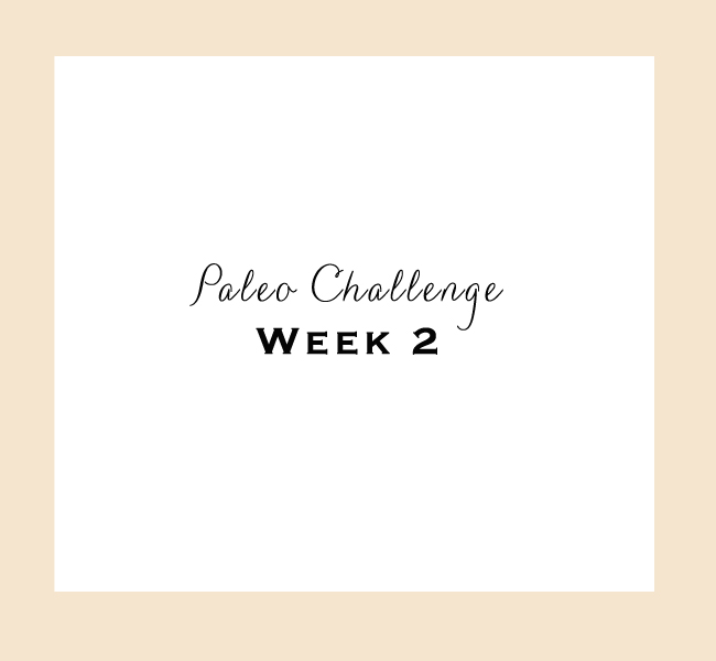 Paleo-Week-2