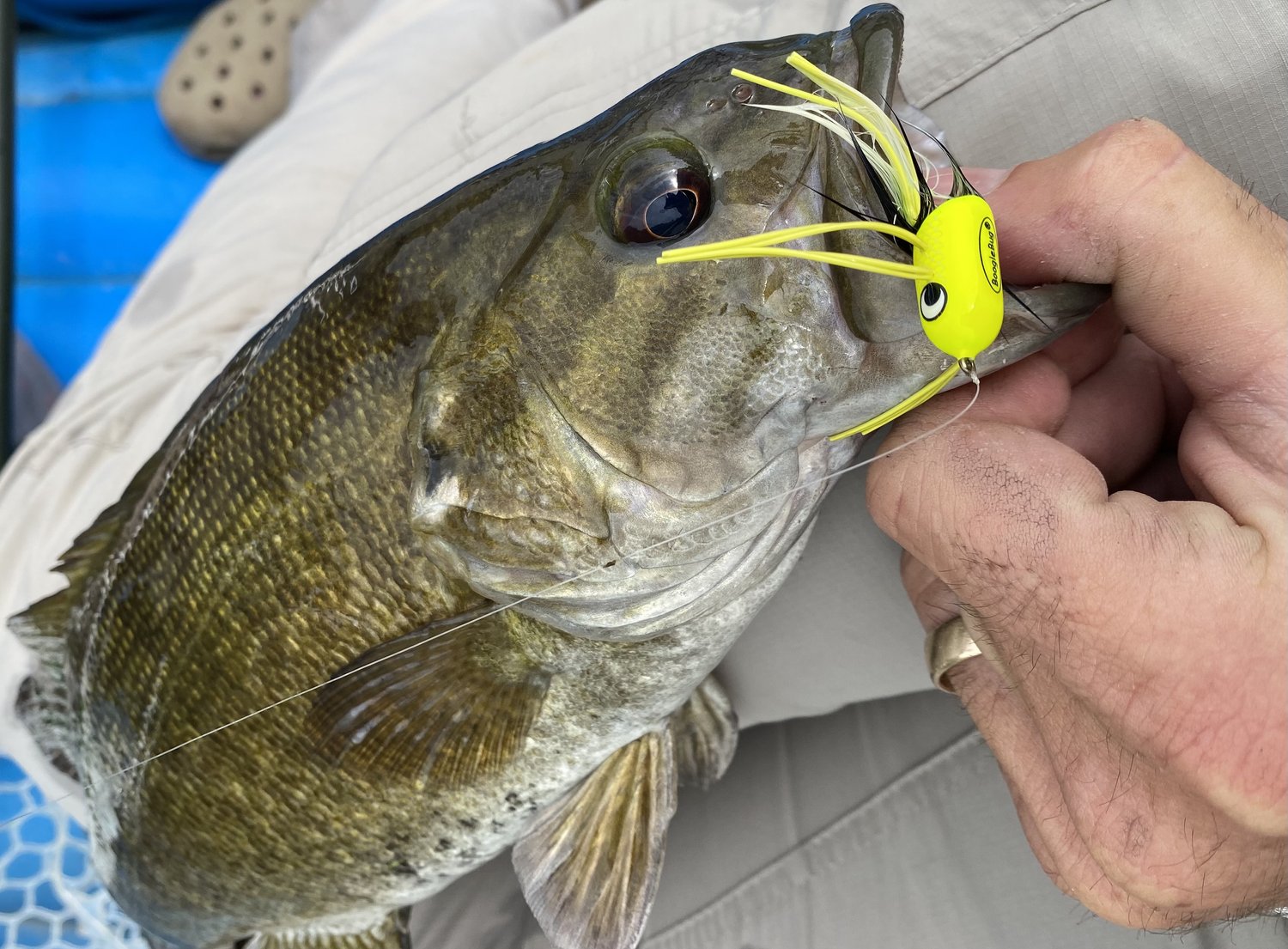 Fly Fishing Tackle that Lands Smallmouth Bass