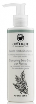 Odylique Gentle Shampoo