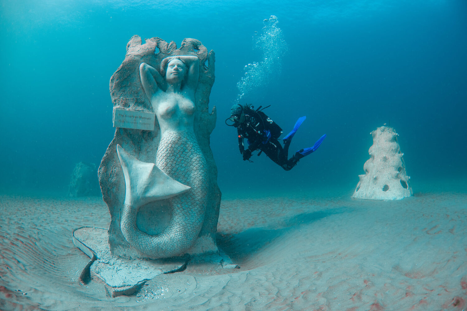 1000 Mermaids Artificial Reef Project — 1000 Mermaids Artificial ...
