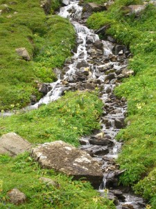 Safinenthal stream