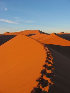 dune ridge