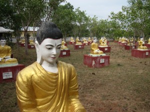 "Buddha Garden" at Bodhi Tataung