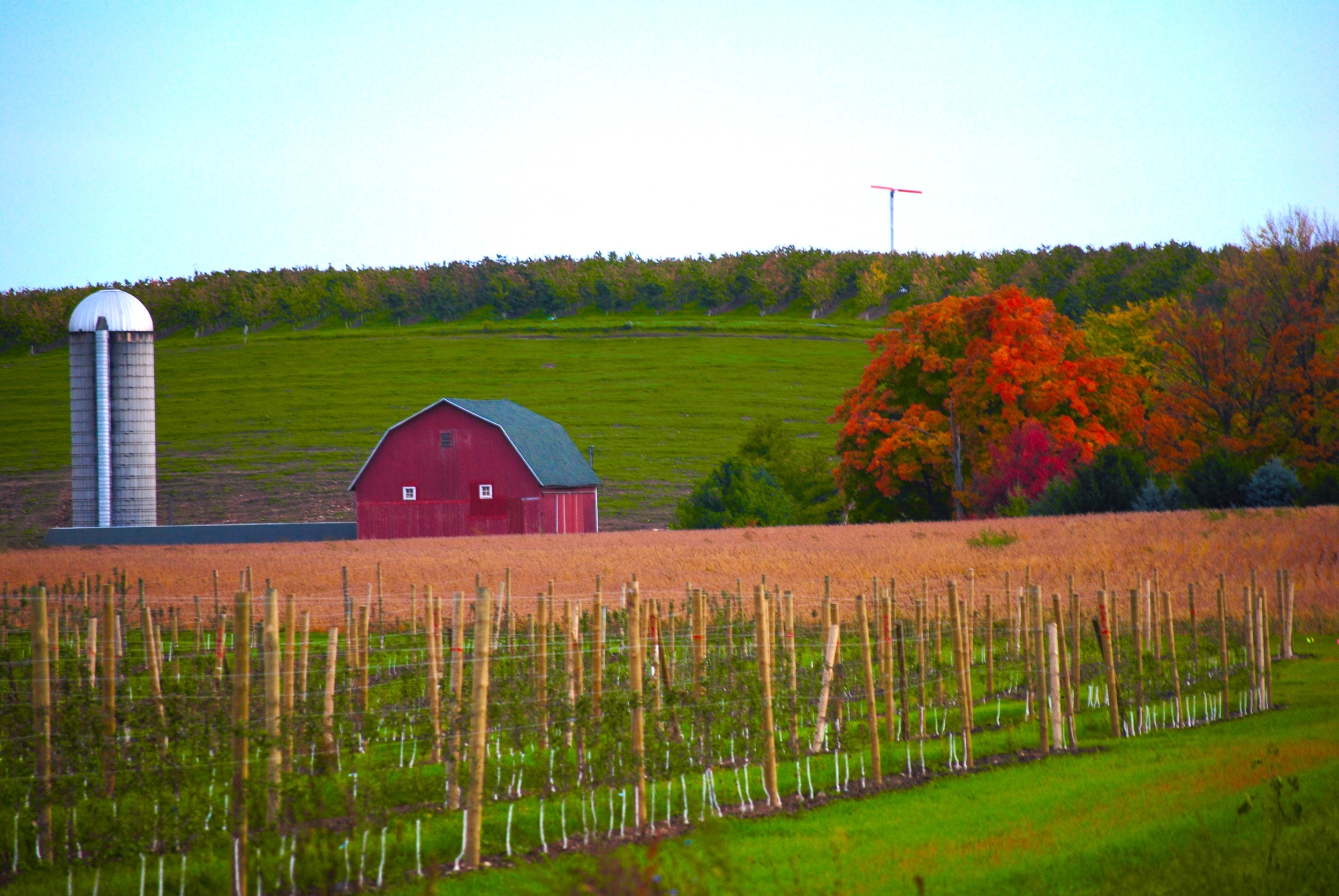 Farm on Fruit Ridge, Grand Rapids, Michigan | Photo Credit: Terri Spaulding