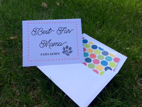 52 Weeks of Mail: Week 18 Mother's Day Cards - Fur Mama Dog Cat Mom