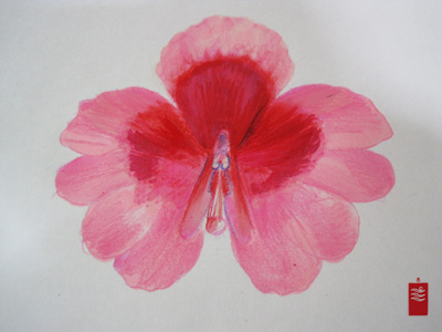 pink_butterfly_orchid_tattoo