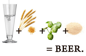 beer-ingredients