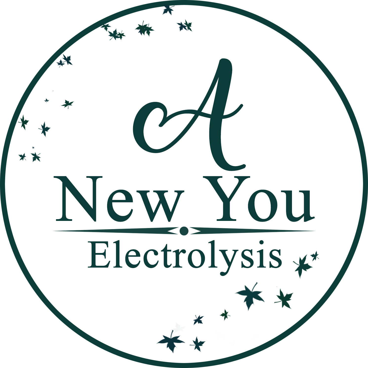 A New You Electrolysis