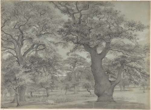"Oak Forest with a Pig," attributed to John Baptist Malchair, (1731-1812), Metropolitan Museum of Art