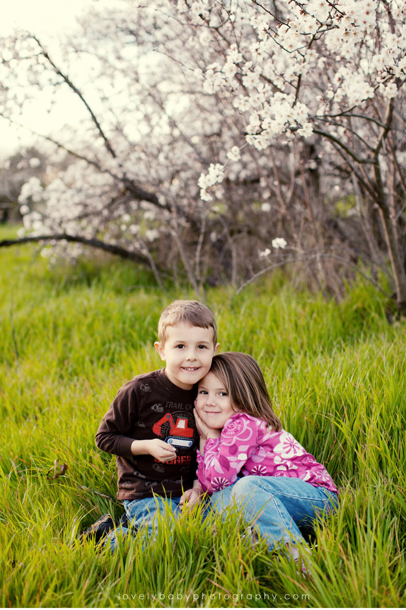 sacramento cherry blossom tree childrens photography