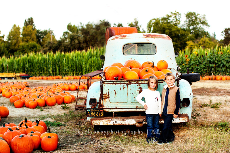 fall pumpkin patch children's photography sacramento