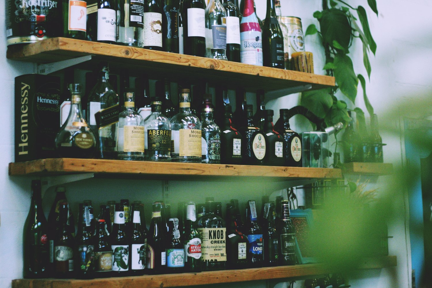 021| Kristen Cairns: Slippery Slopes & Alcohol