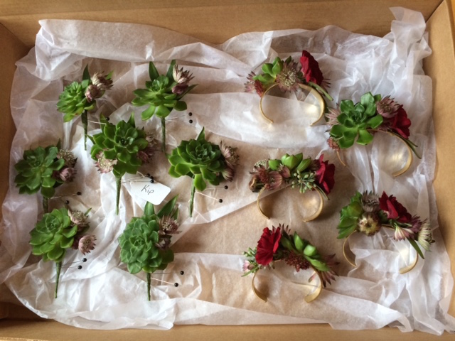 succulent boutonnieres and corsages