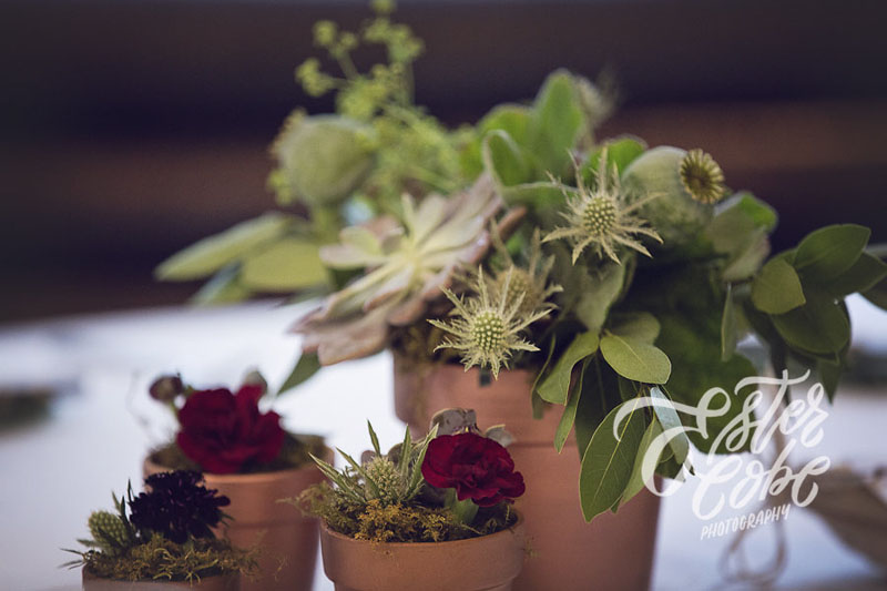 terracotta pot wedding centerpieces with succulents