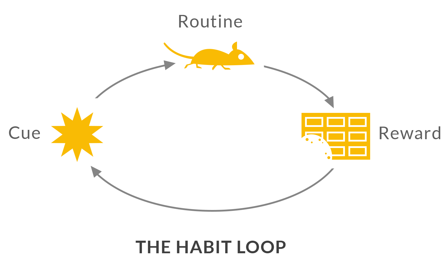 5-habit-loop