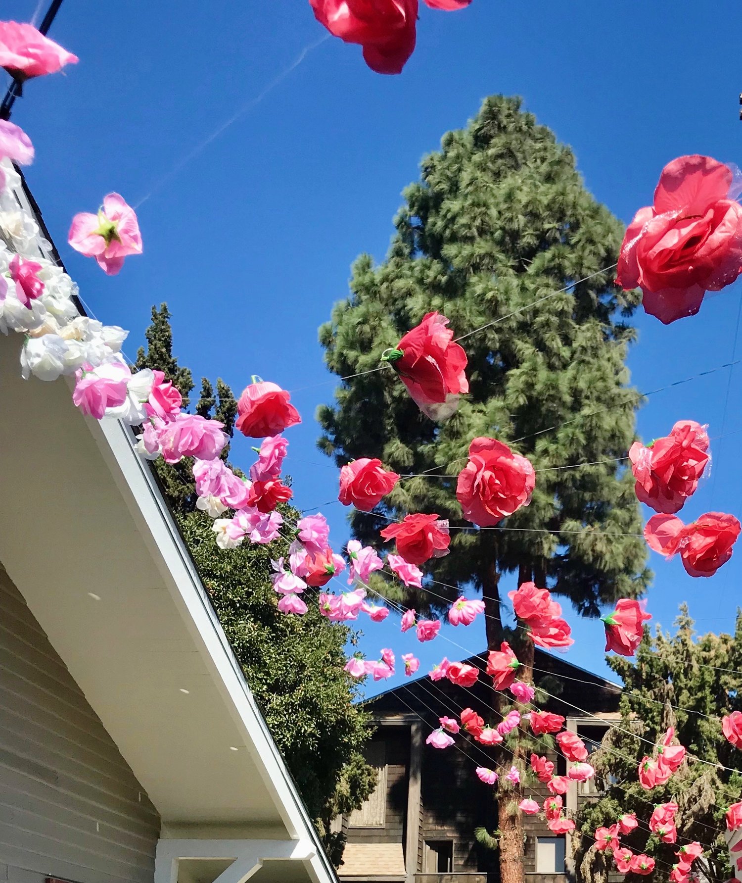 Floating Roses — DIY DARLING