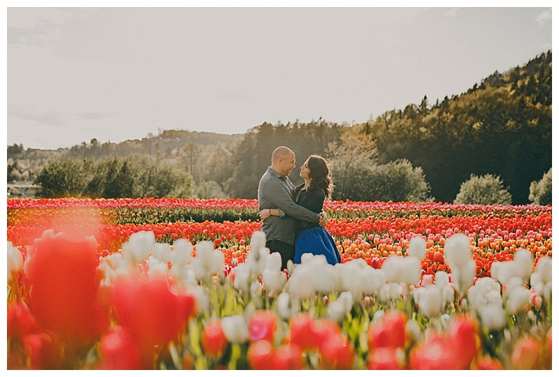 engagement photos at abbosford tulip festival