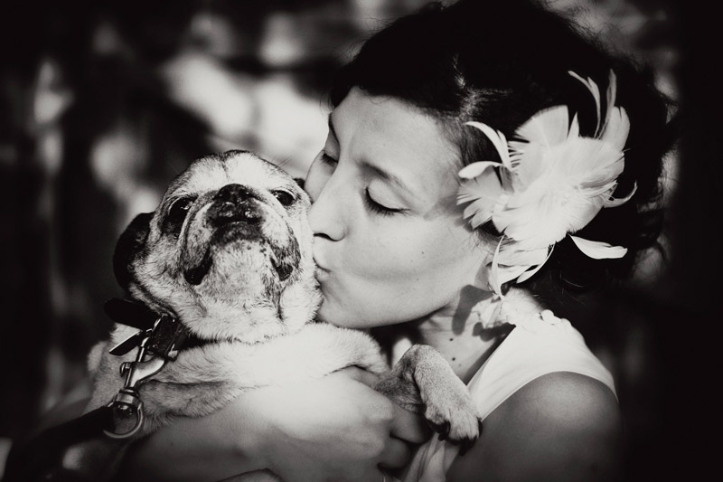 Cute pug Momo gets a kiss from her mommy bride Thea during Thea and Marc's wedding at a private home in Altadena, California.