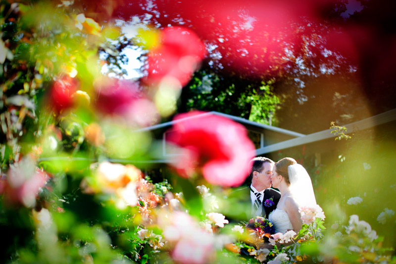 summer garden wedding at marin art and garden center in ross, california