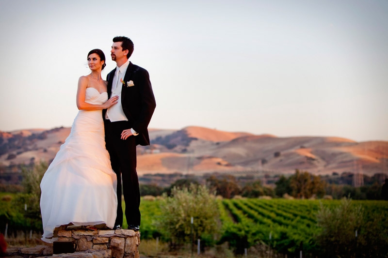 summer winery wedding in san francisco bay area, california